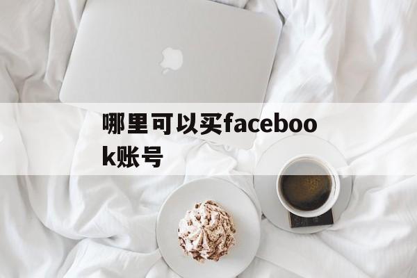 哪里可以买facebook账号 - FB账号商店